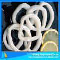 best sales frozen seafood nice quality frozen squid ring